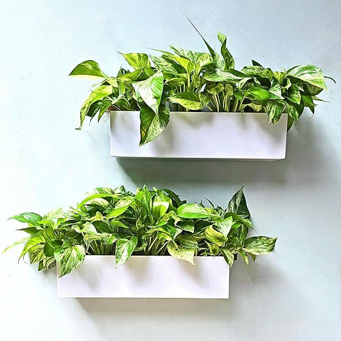 LaLaGreen Wall Planter (16 Inch, 2 Pack) Carbon Steel White Metal Hanging Flower Pot for Succulents, Wall Mount Rectangular Window Sill Box Fence Floating Garden Shelf for Deck Indoor Outdoor Decor