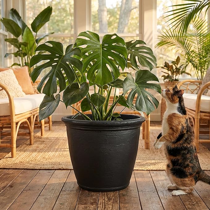 Sunnydaze 24-Inch Anjelica Large Plastic Pot for Plants - Outdoor Double-Walled Large Plastic Planter with Drillable Drainage Holes - Matte Black - 2pk